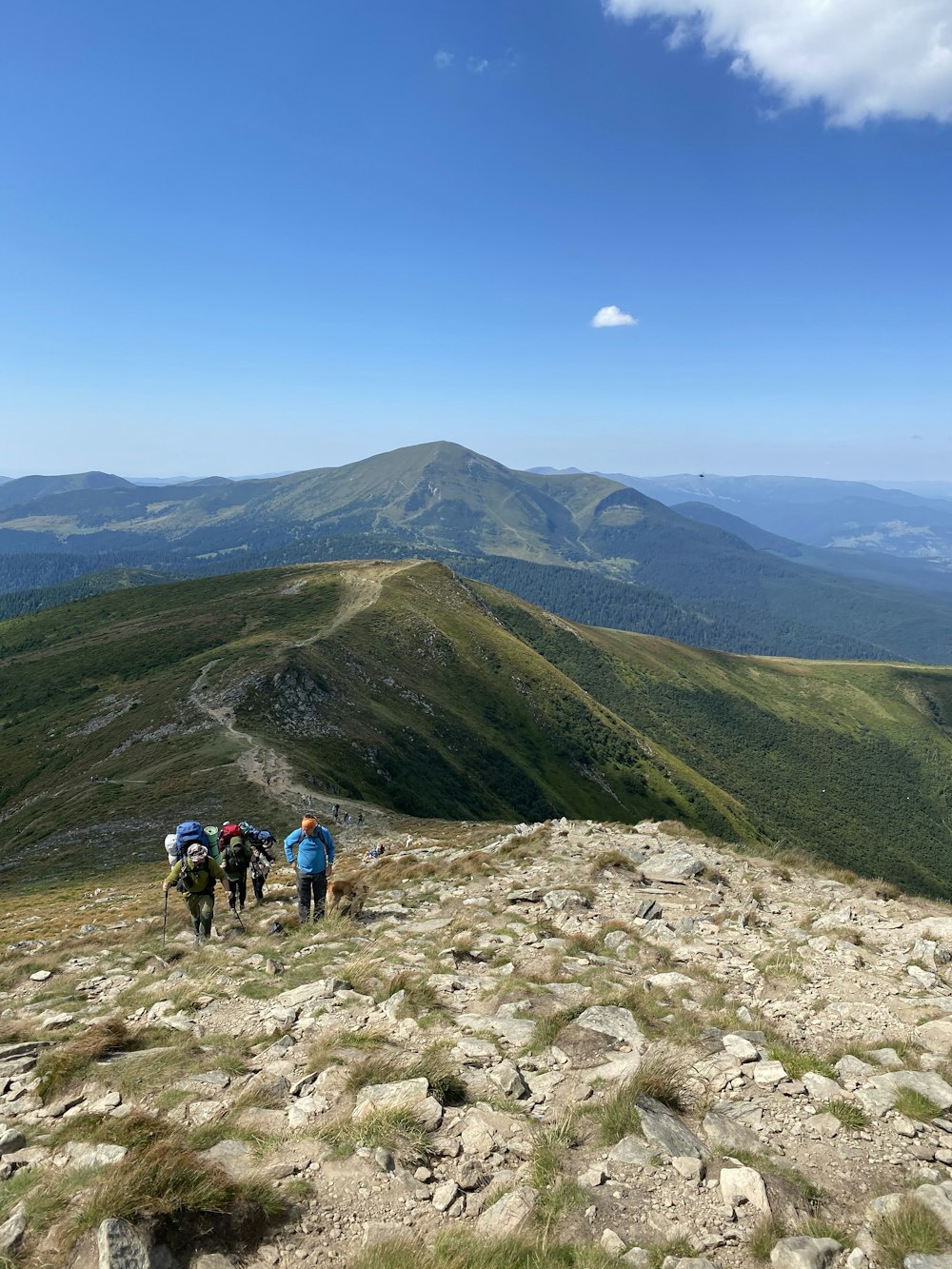 people hiking on mountain during daytime