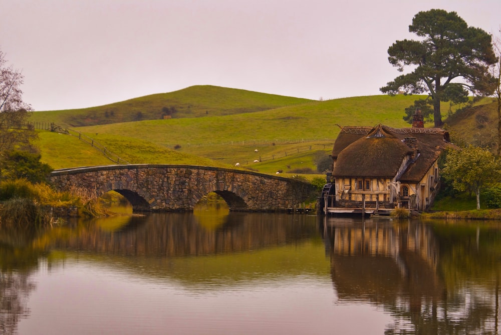 brown wooden house on green grass field beside river during daytime