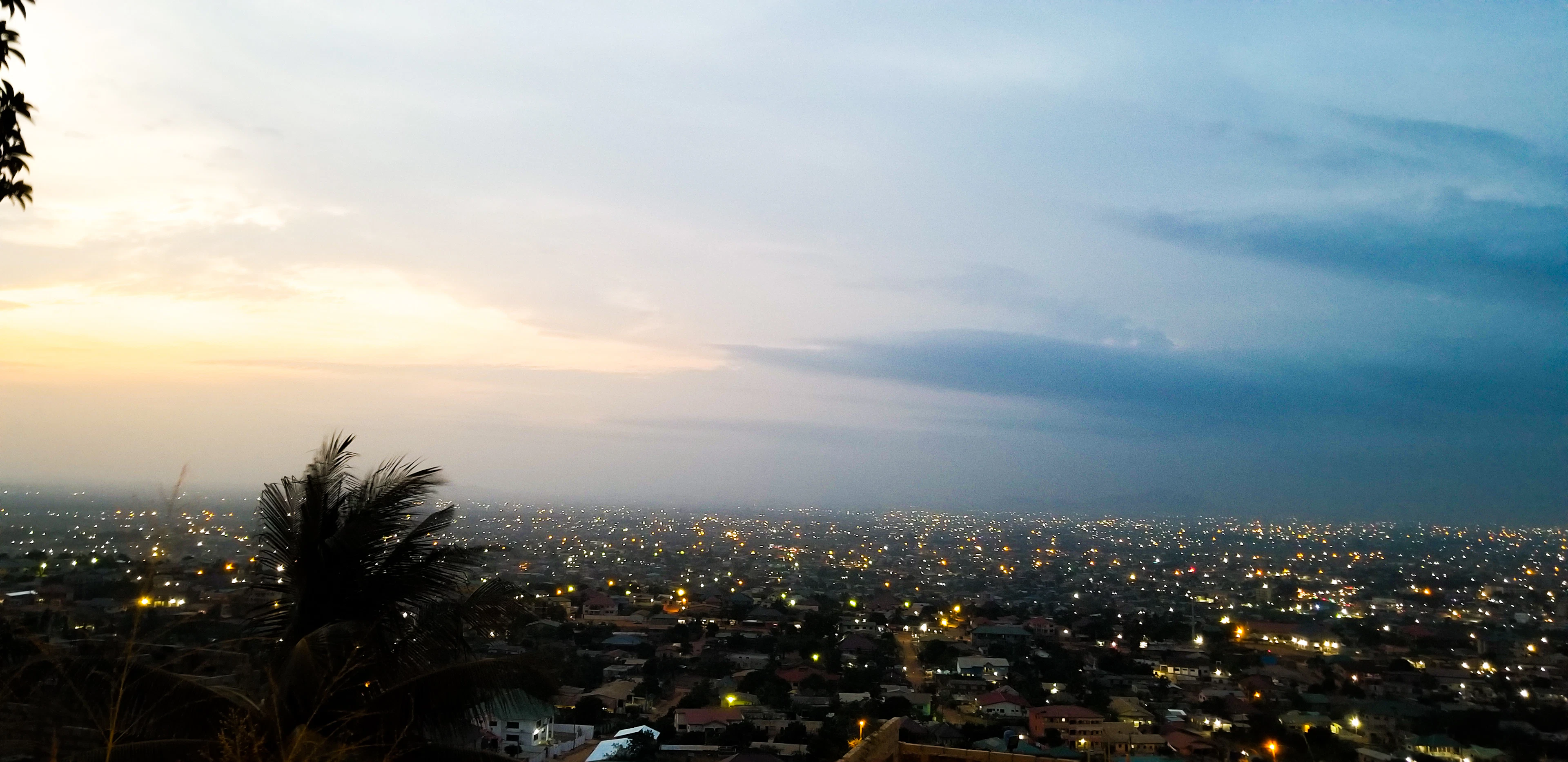 City lights twinkle across the skyline at dusk, viewed from a hillside with a palm tree in the foreground.