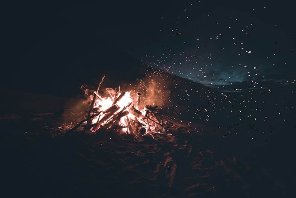 brown wood on black sand during night time