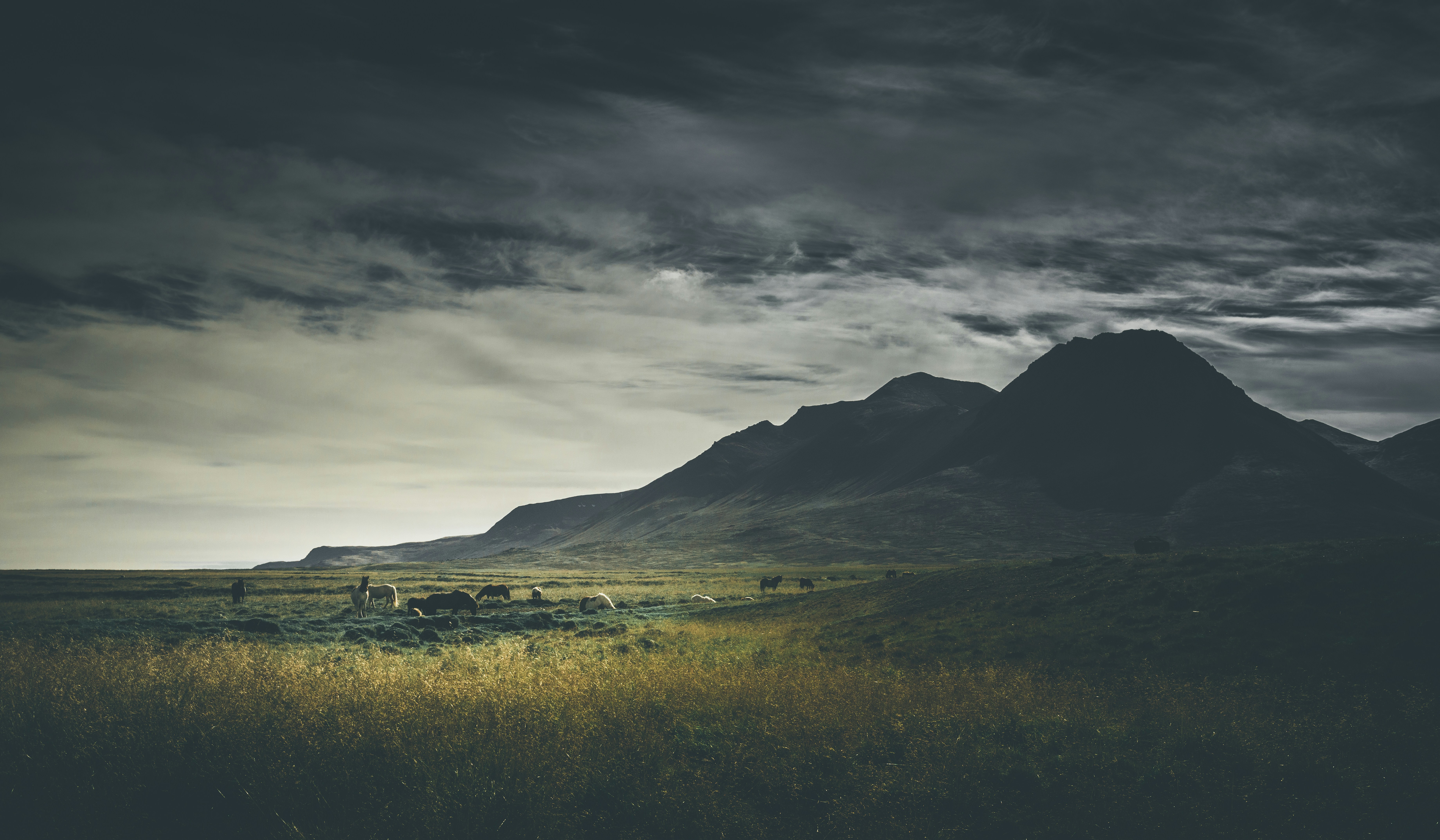 Photo by alexdinaut