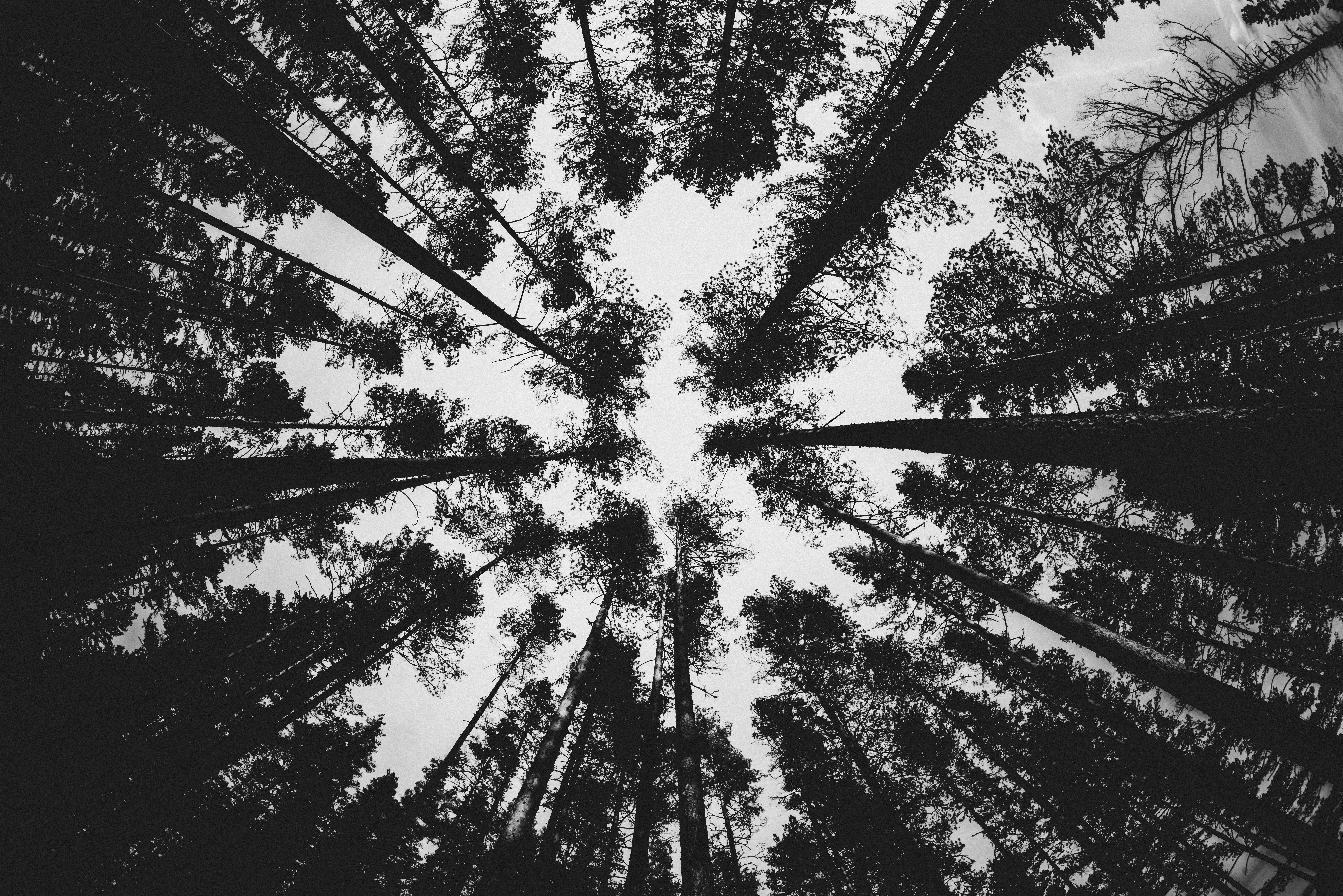 Photo by alexdinaut