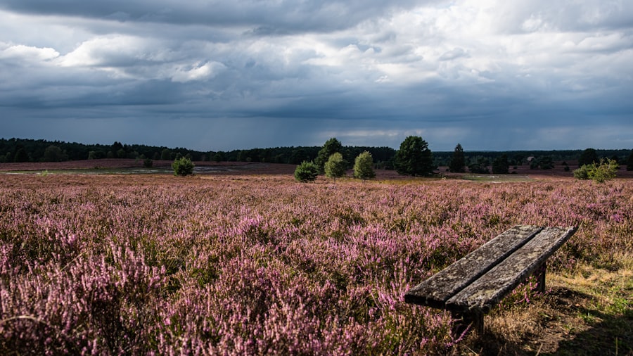 Picknicktafel Veluwe
