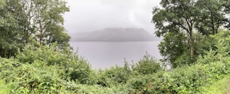 A serene retreat setting with a peaceful lake surrounded by lush greenery under a soft morning light.