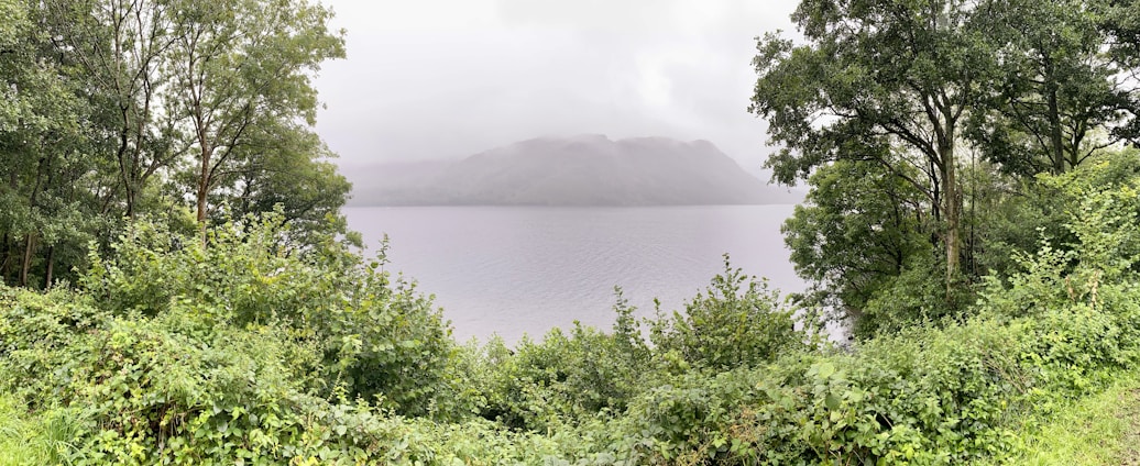 A serene retreat setting with a peaceful lake surrounded by lush greenery under a soft morning light.