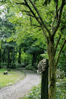 A peaceful mountain path with a motivational phrase written on a wooden sign.