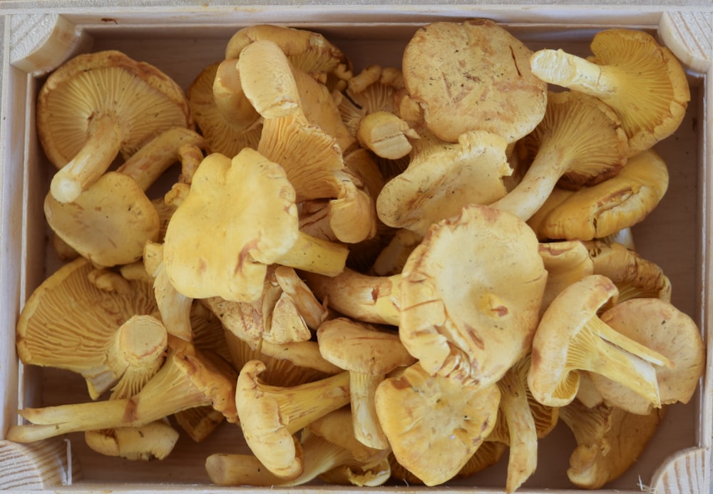 brown mushrooms on black container