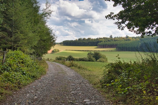 green grass field near river under white clouds during daytime in Redu Belgium