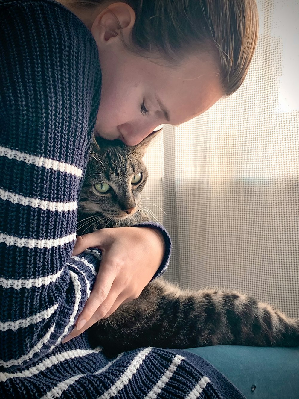 person holding brown tabby cat