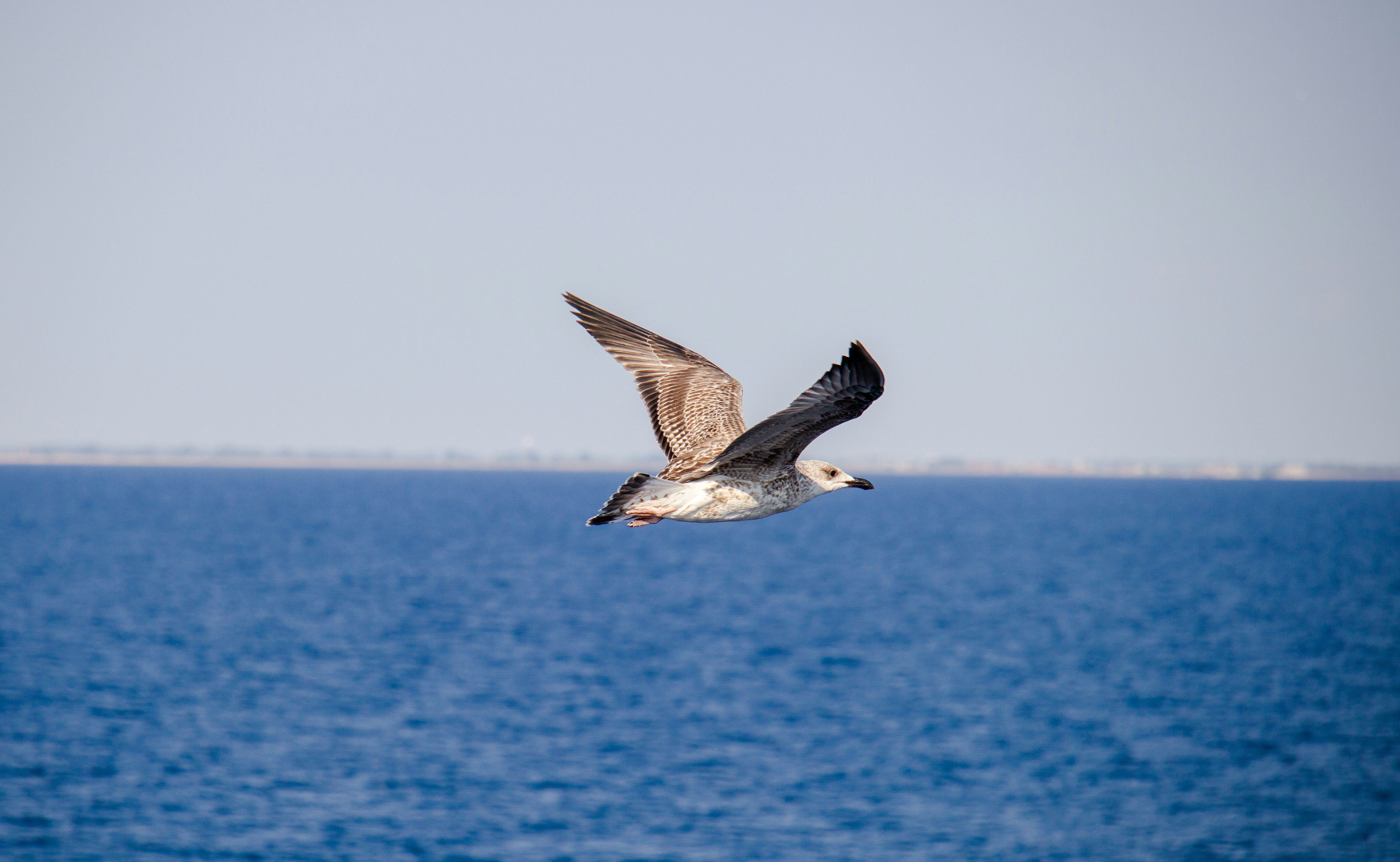 Photo by satyamkapoor