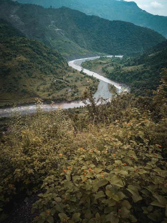 green trees near body of water during daytime in Dadahu India