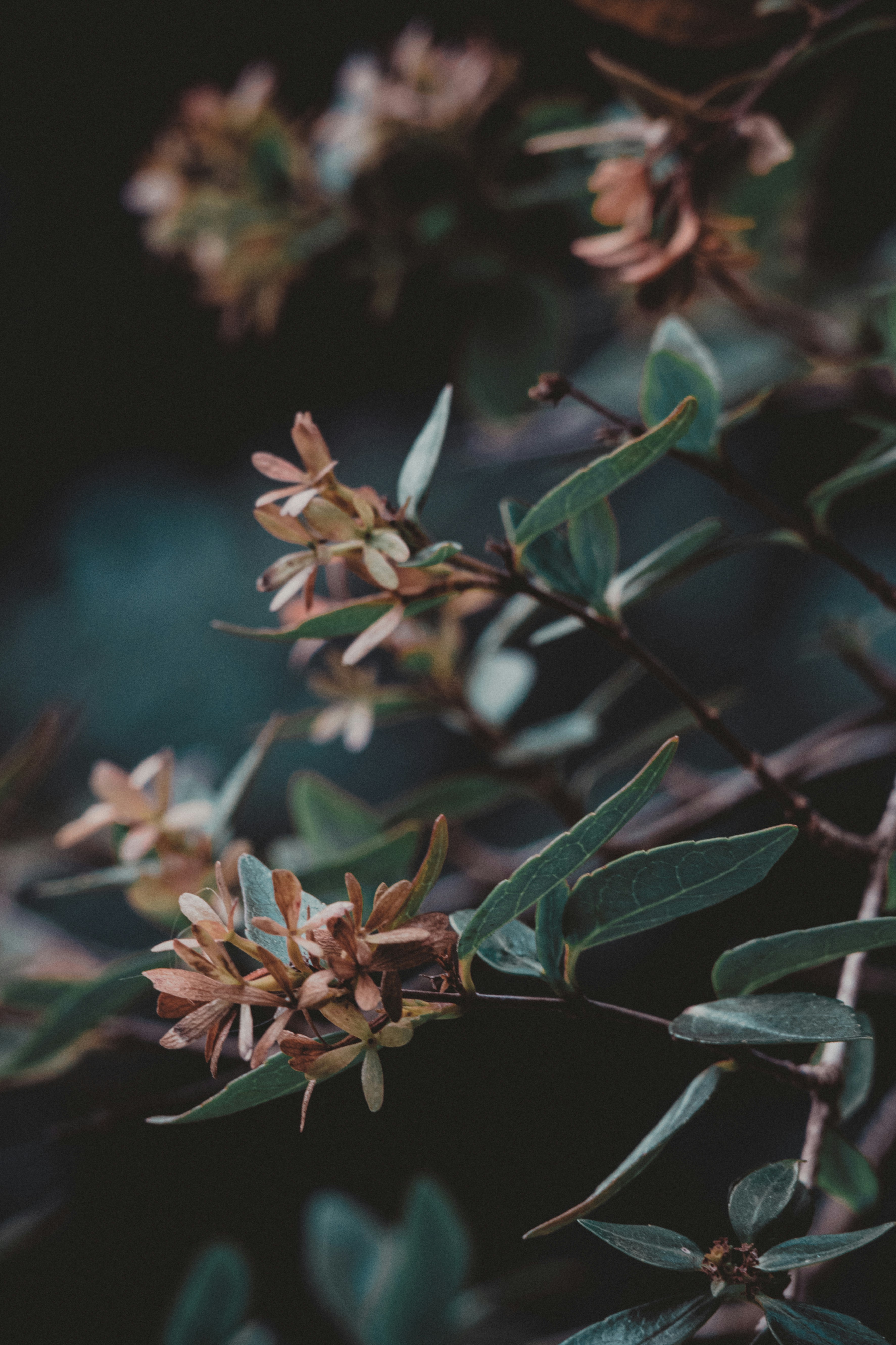 Photo by nature_of_the_experiment