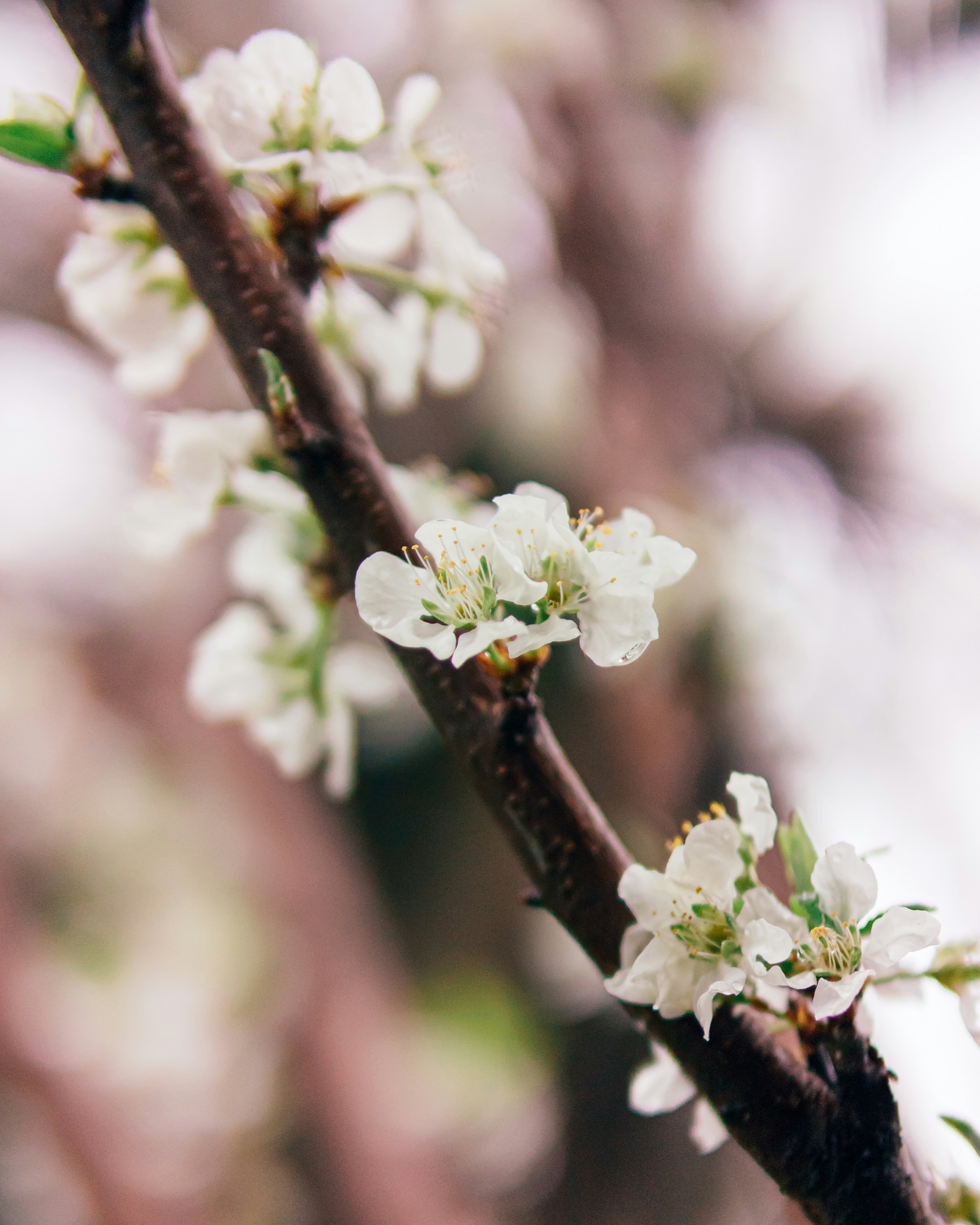 Photo by nature_of_the_experiment