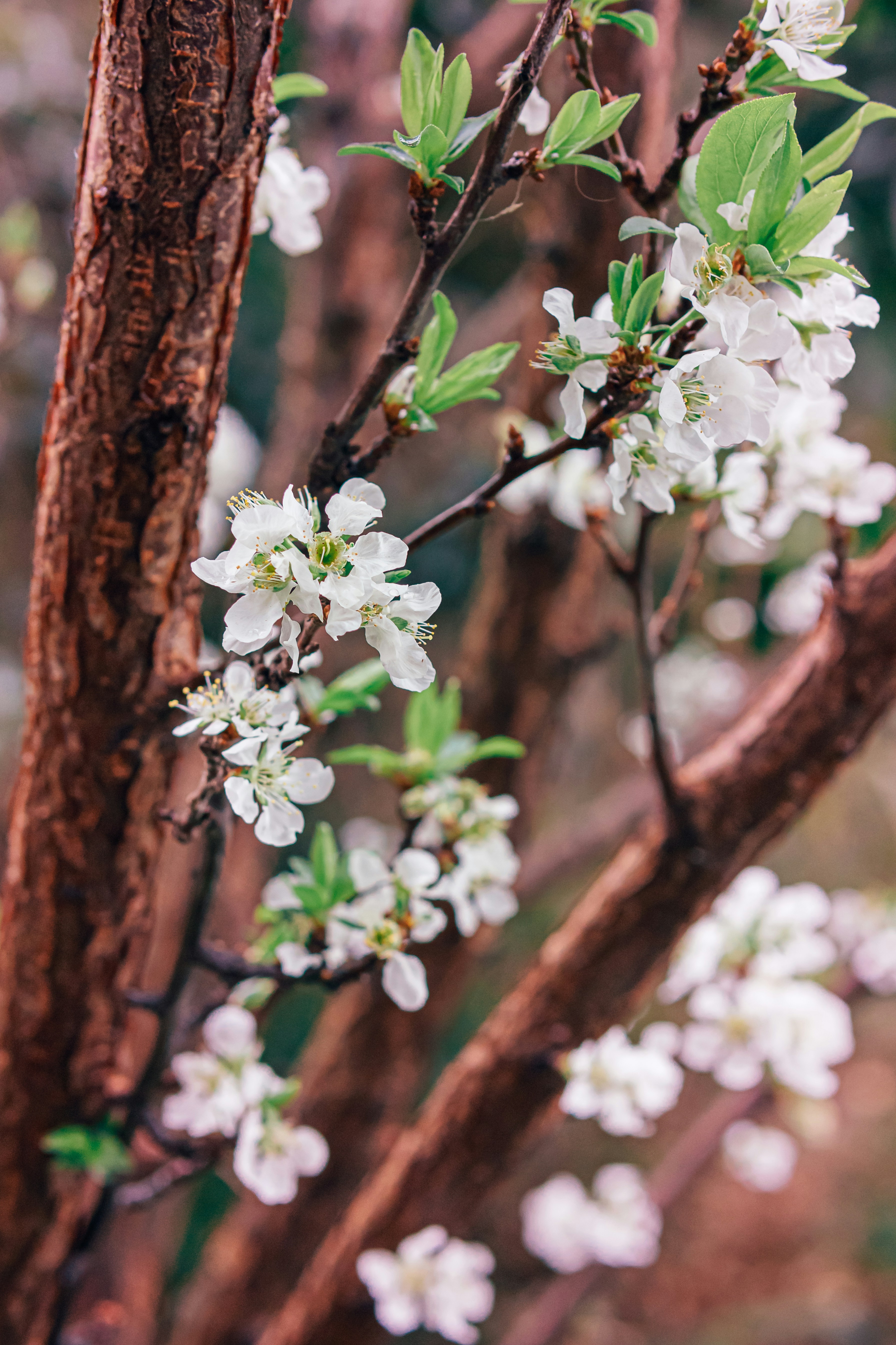 Photo by nature_of_the_experiment