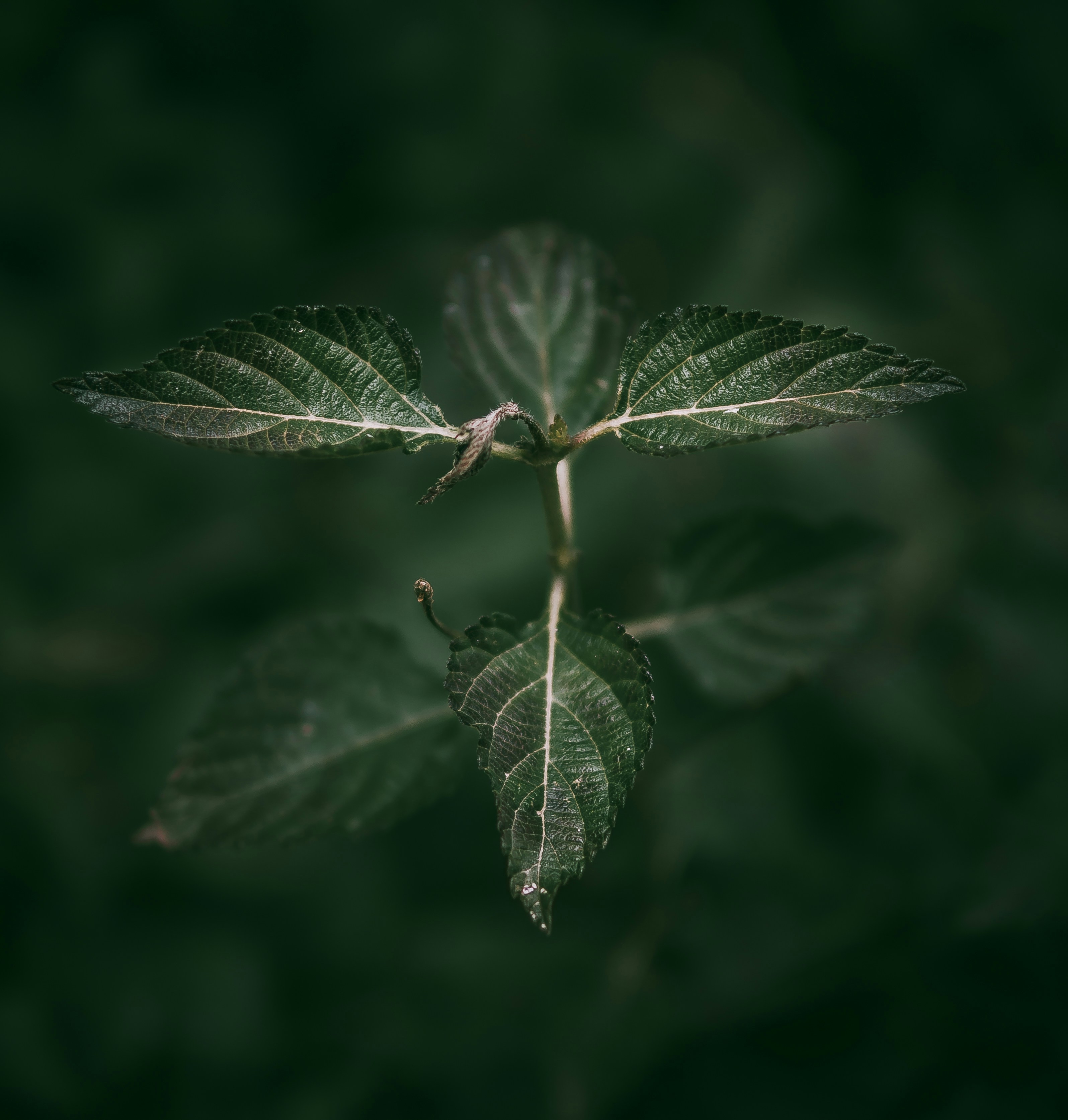 Photo by nature_of_the_experiment