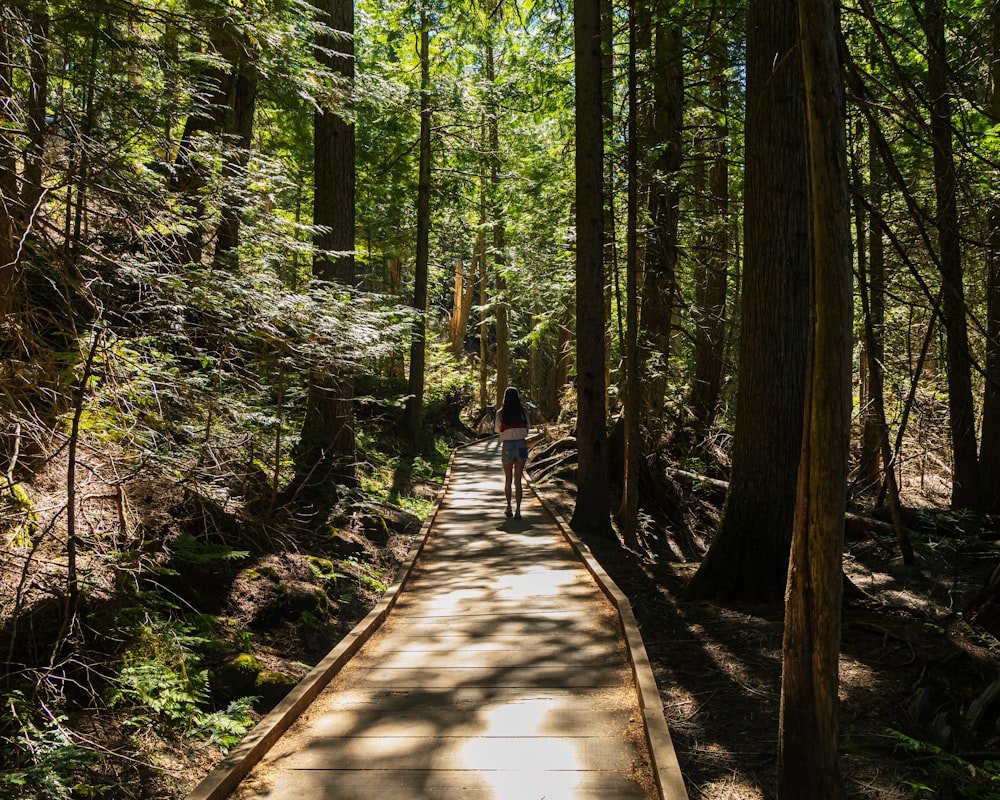 person walking on wooden bridge in forest during daytime