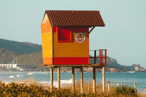 brown wooden house on brown field near body of water during daytime