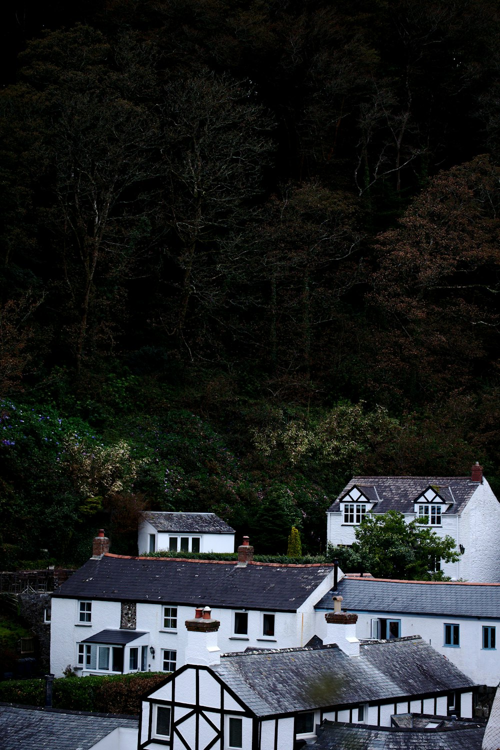 white and black house surrounded by green trees