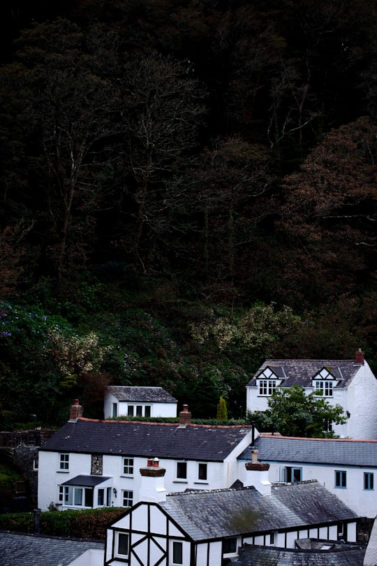 white and black house surrounded by green trees in Fowey United Kingdom