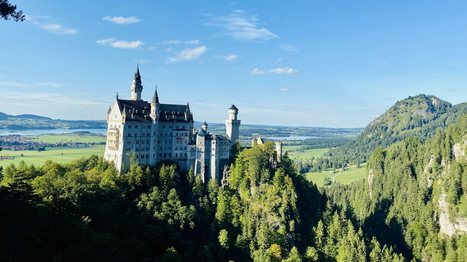 black and white bed linen