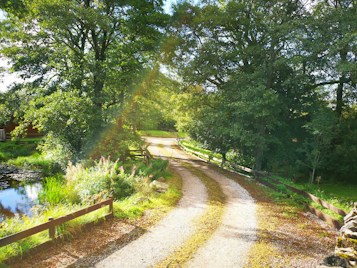 A serene country path is surrounded by dense, lush green trees. Sunlight filters through the branches, creating a soft, warm glow. A small pond with clear reflections is to the left, bordered by grass and wildflowers. A wooden fence lines the dirt path, adding a rustic touch to the tranquil landscape.