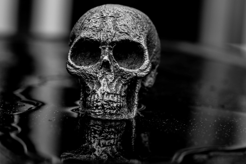 grayscale photo of skull on table