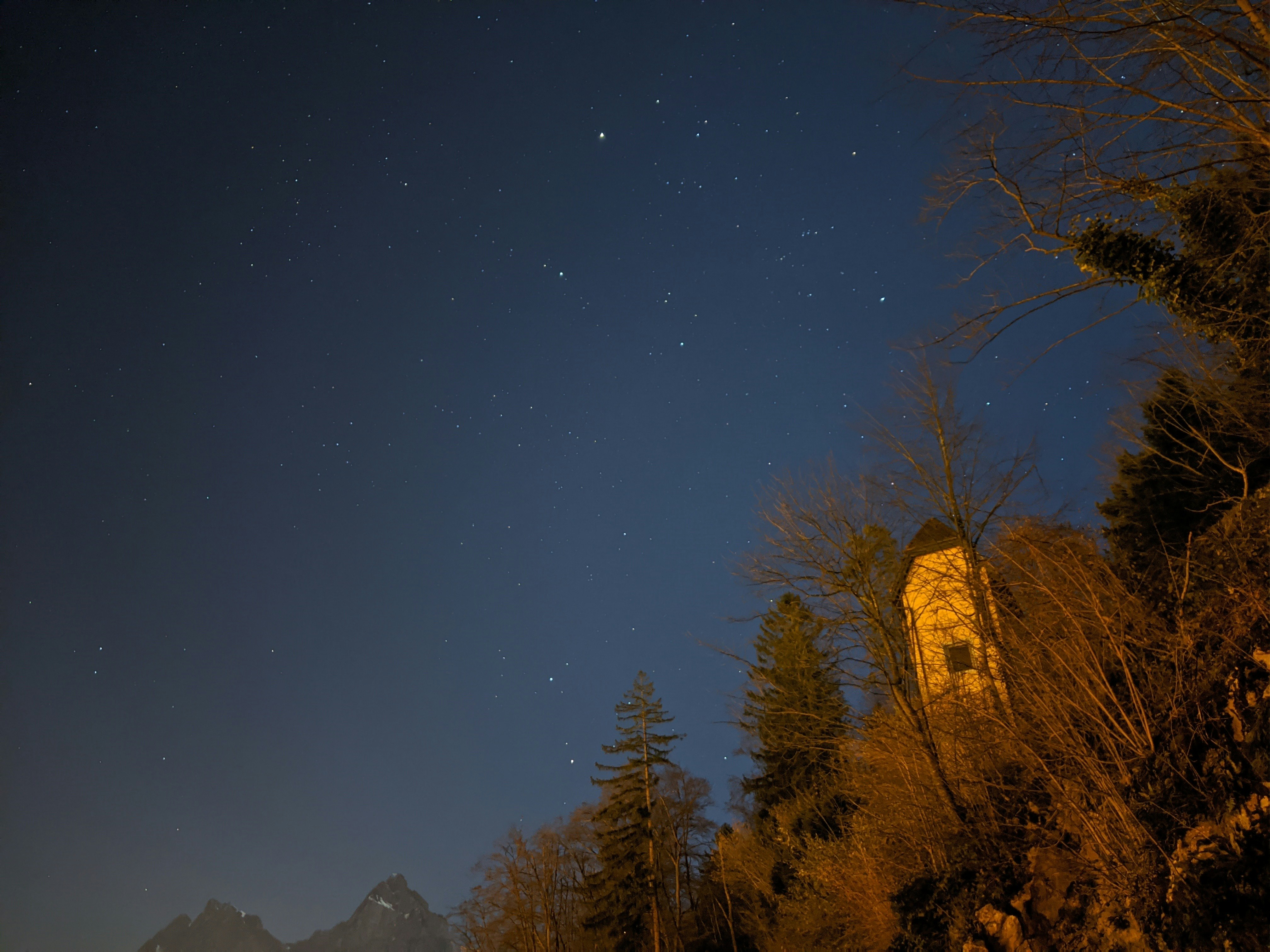 green trees near mountain during night time