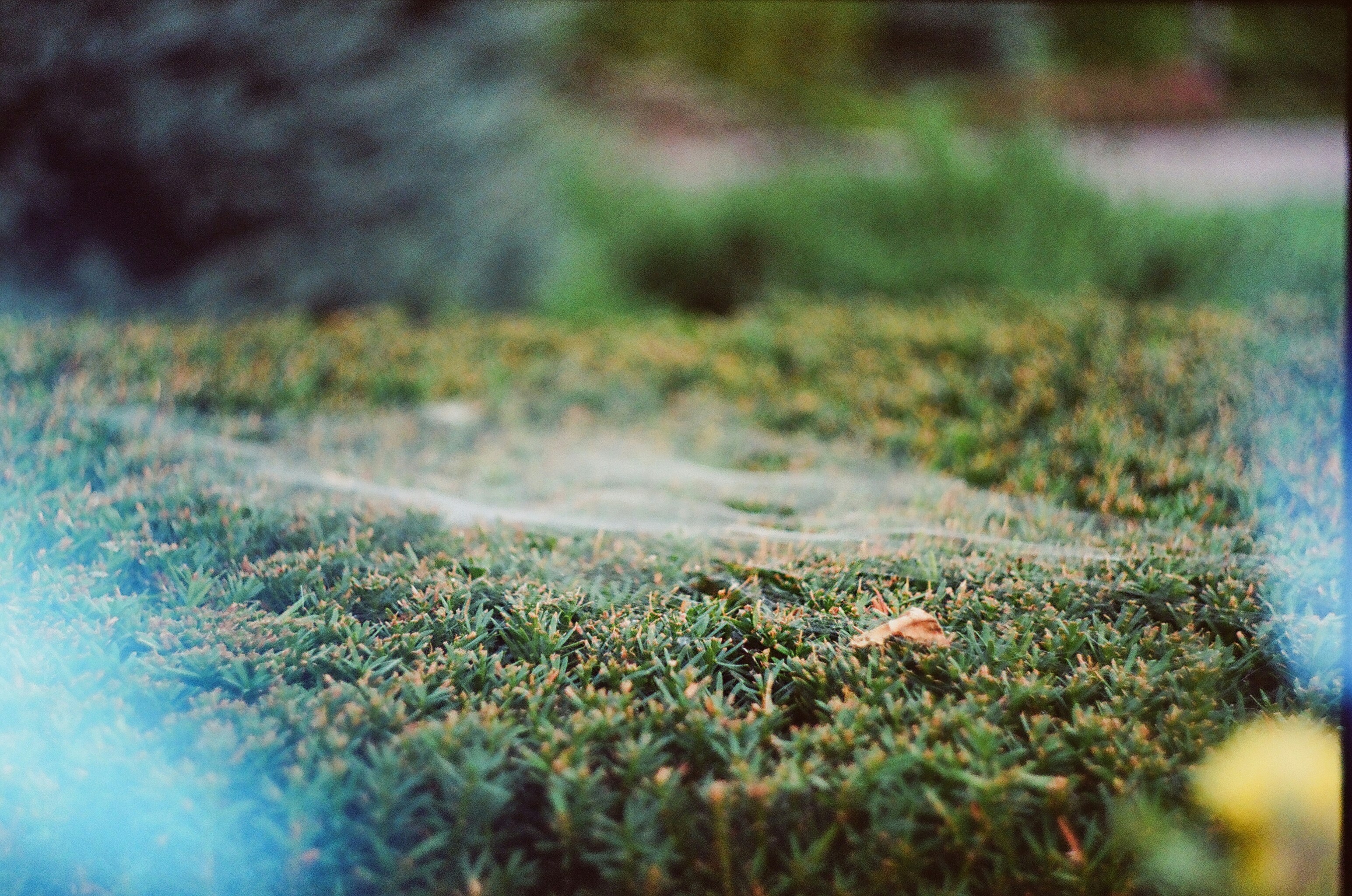 Florida judge gives Scattered Spider member ten years in jail