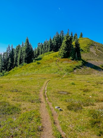 A scenic hiking trail winding through lush green hills under a clear blue sky.