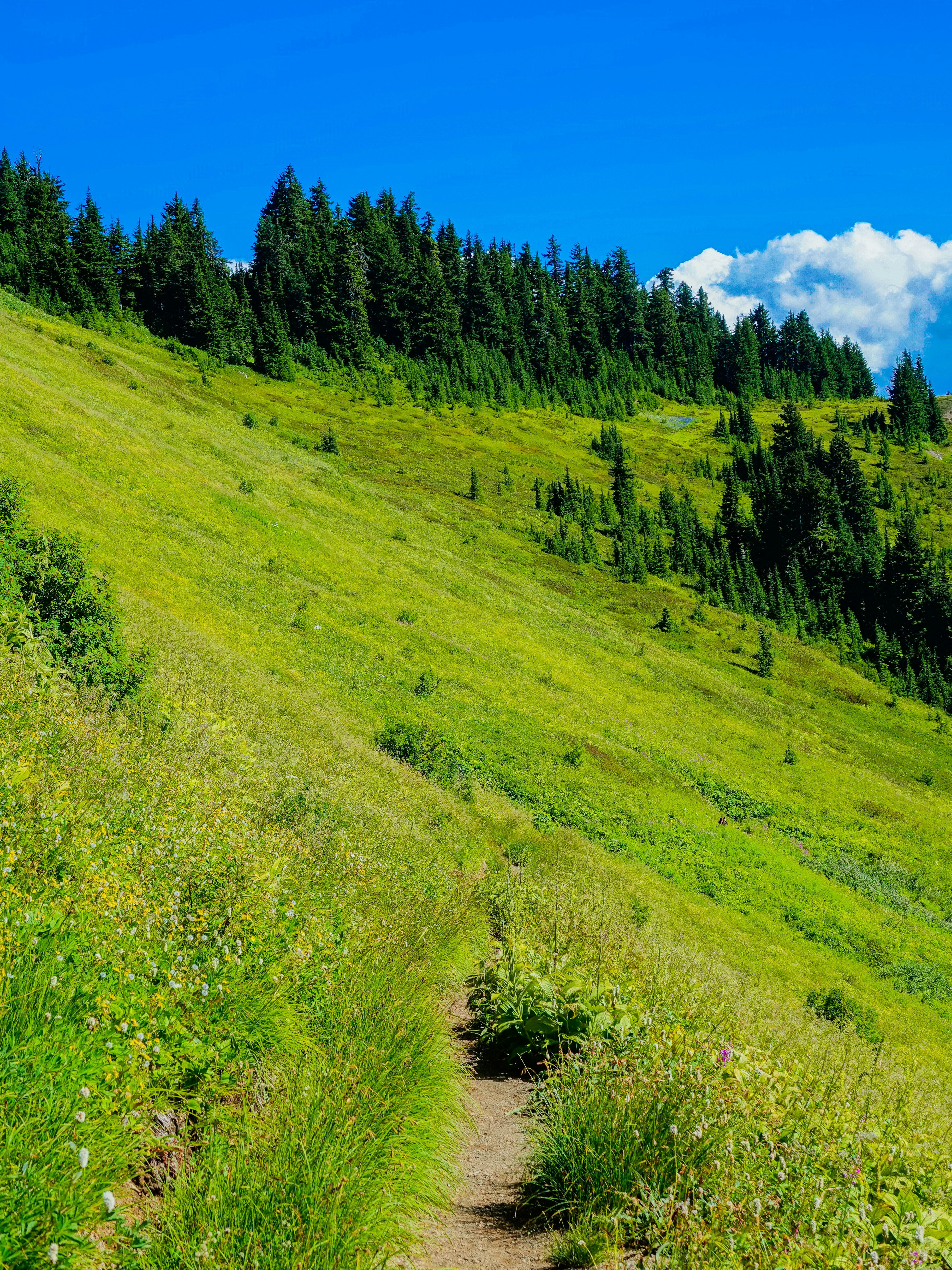 Photo by pavlpolo_official