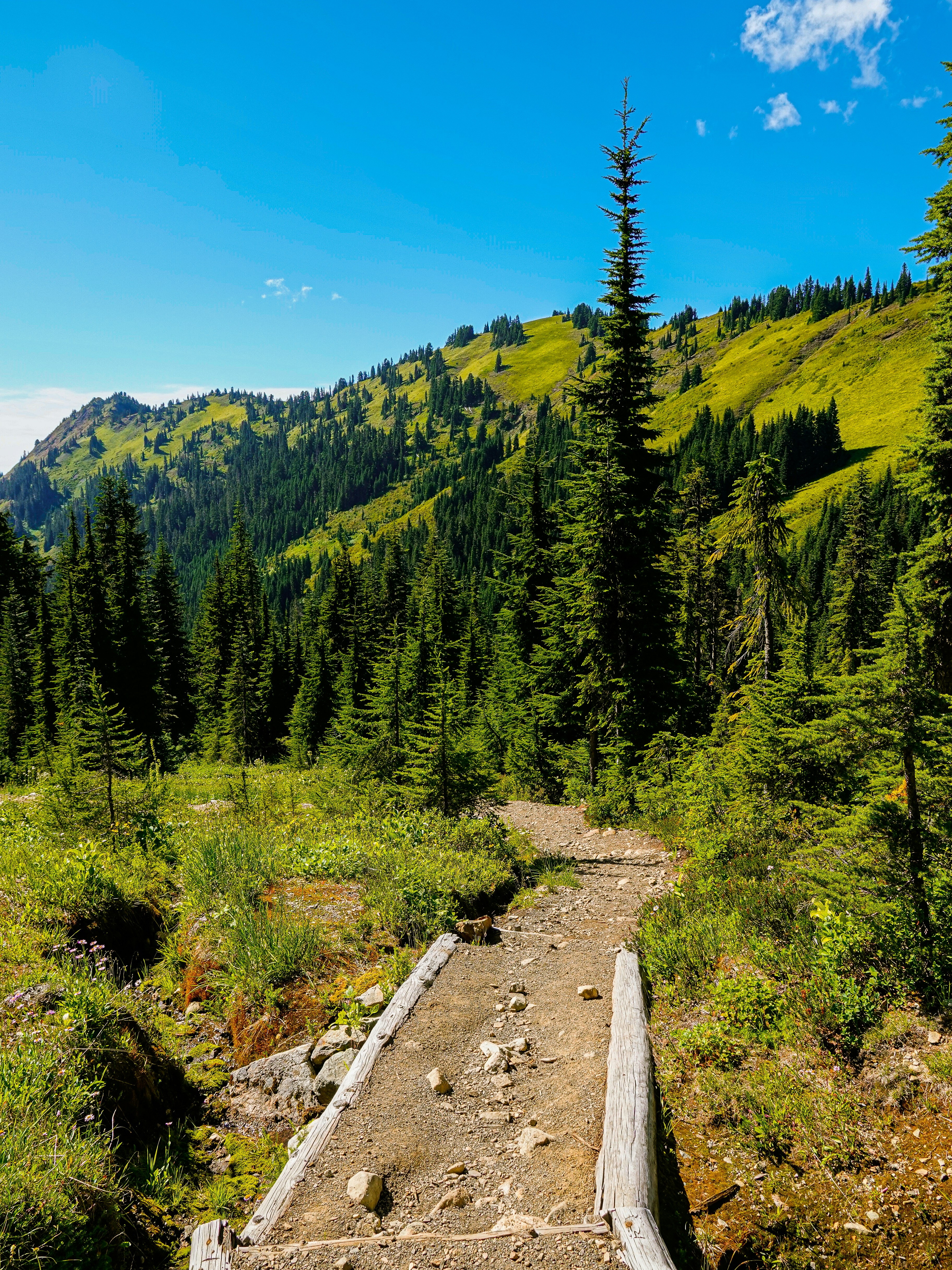 Photo by pavlpolo_official