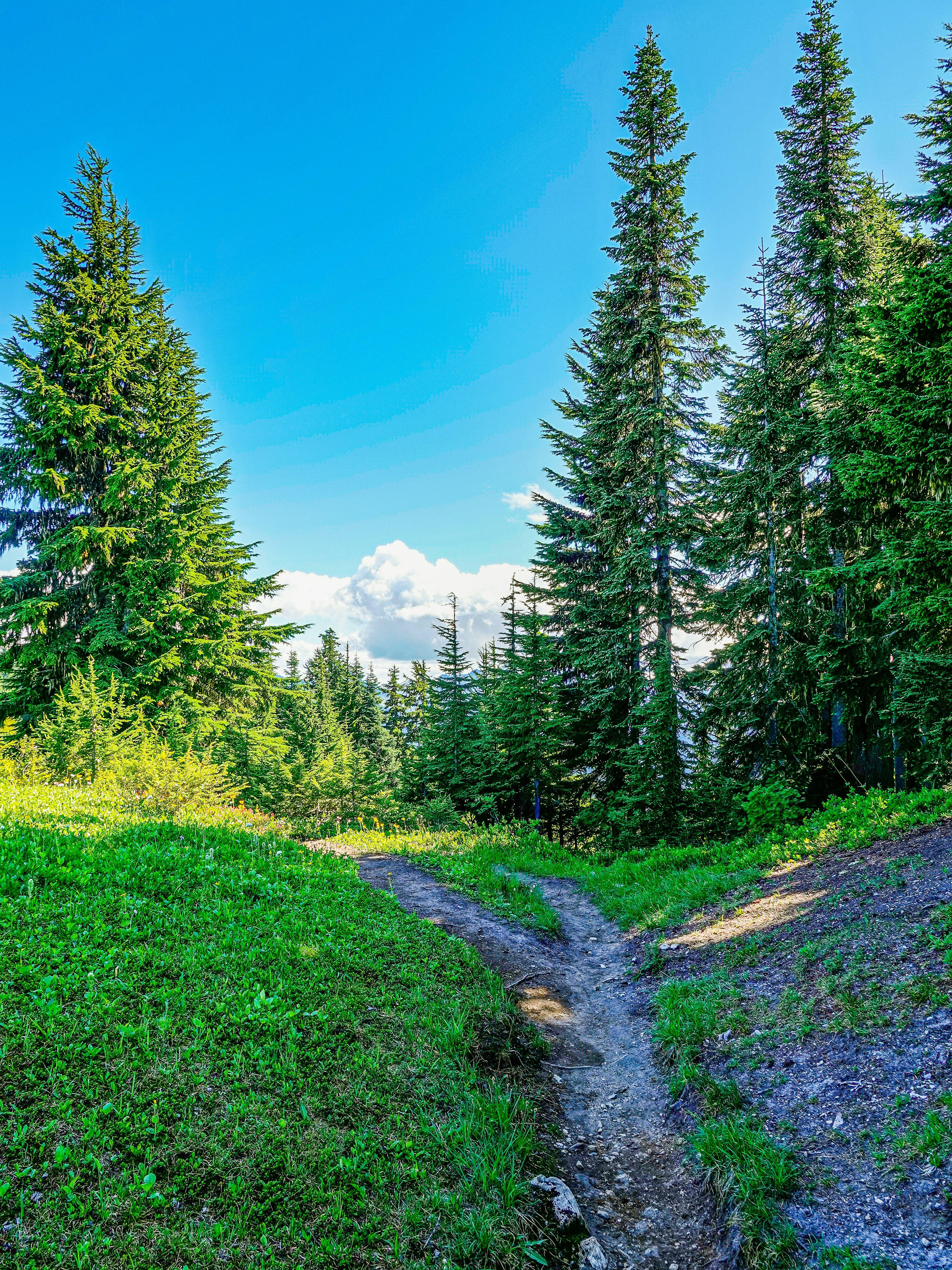 Photo by pavlpolo_official