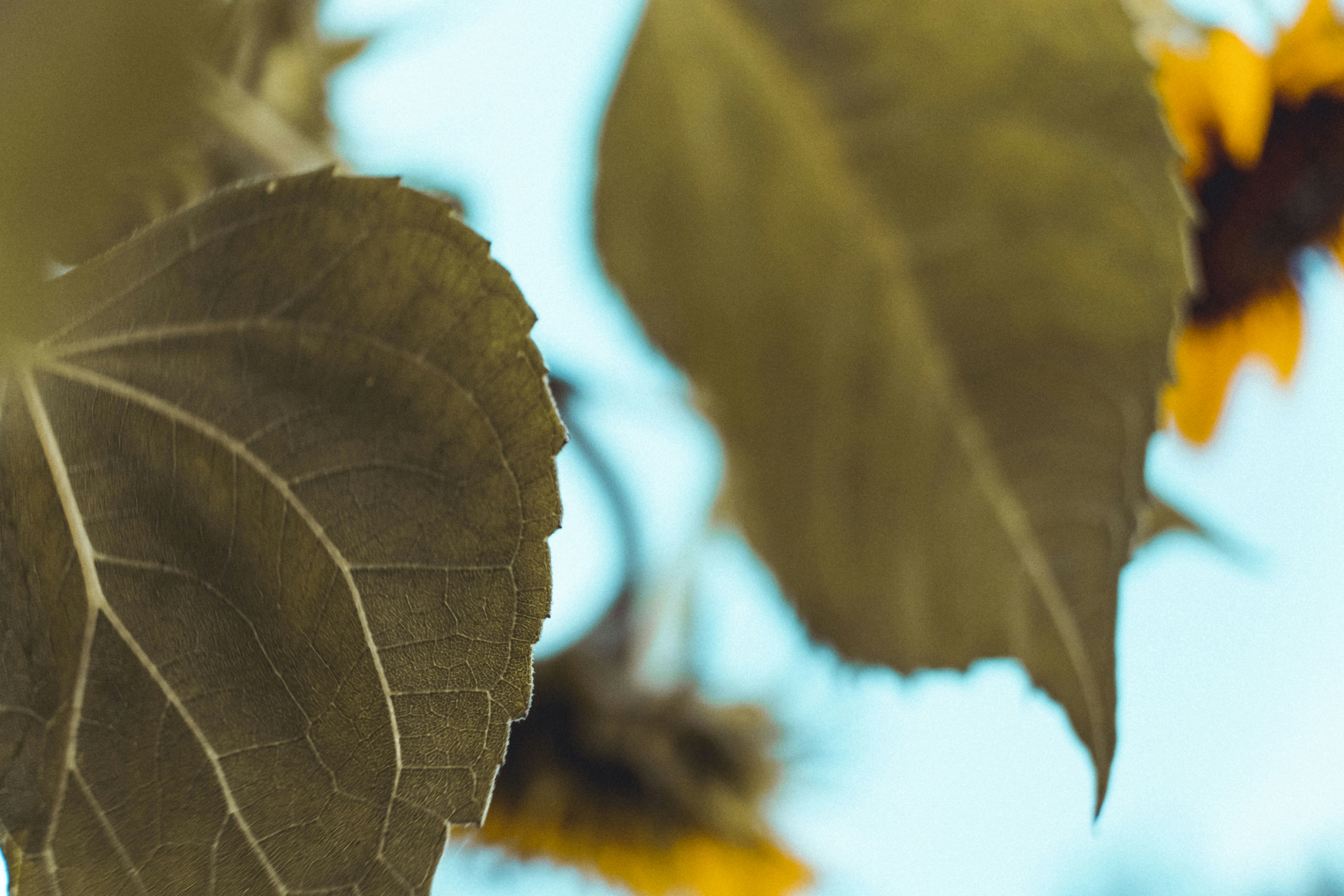 Photo by moritz_photography