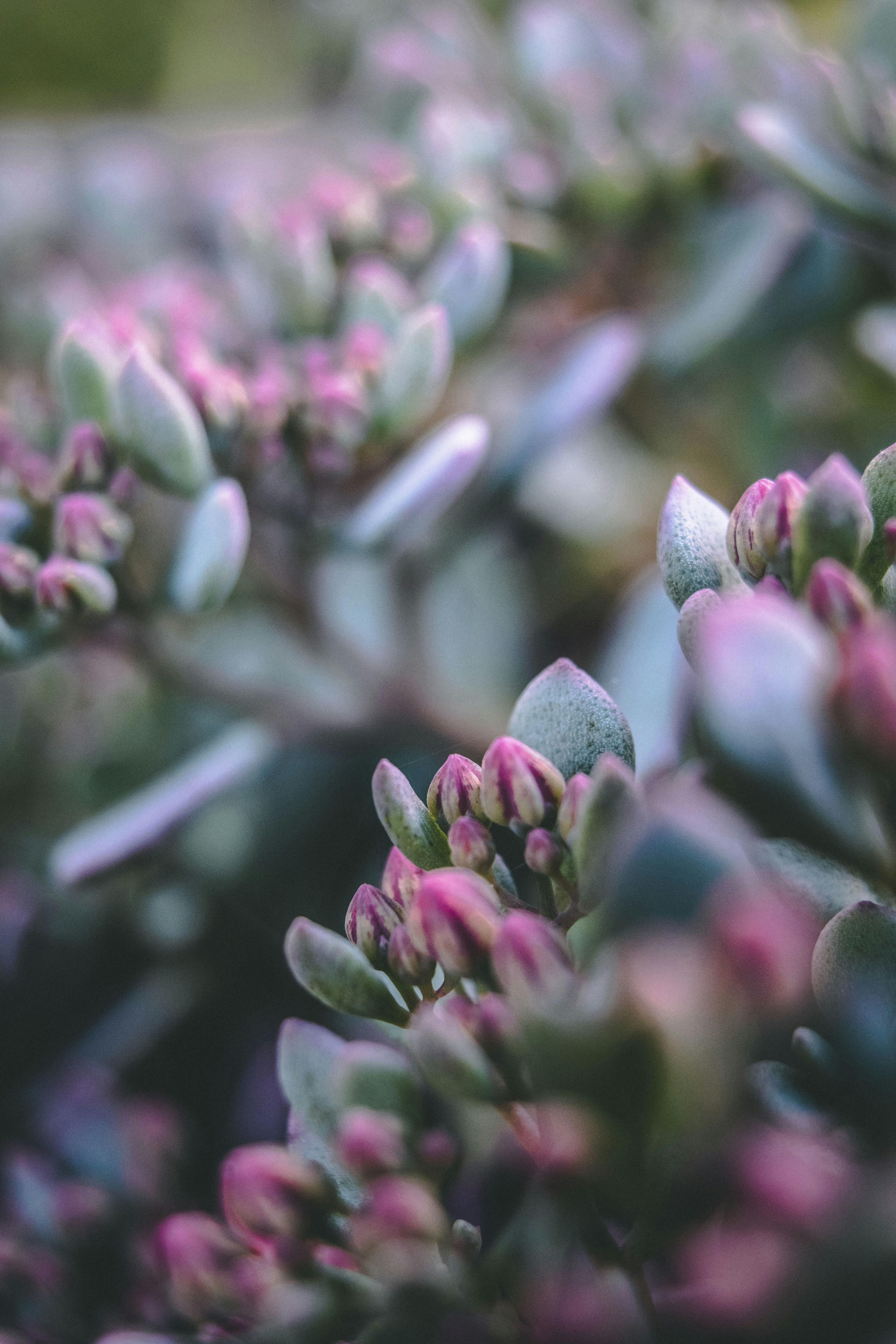 Photo by moritz_photography