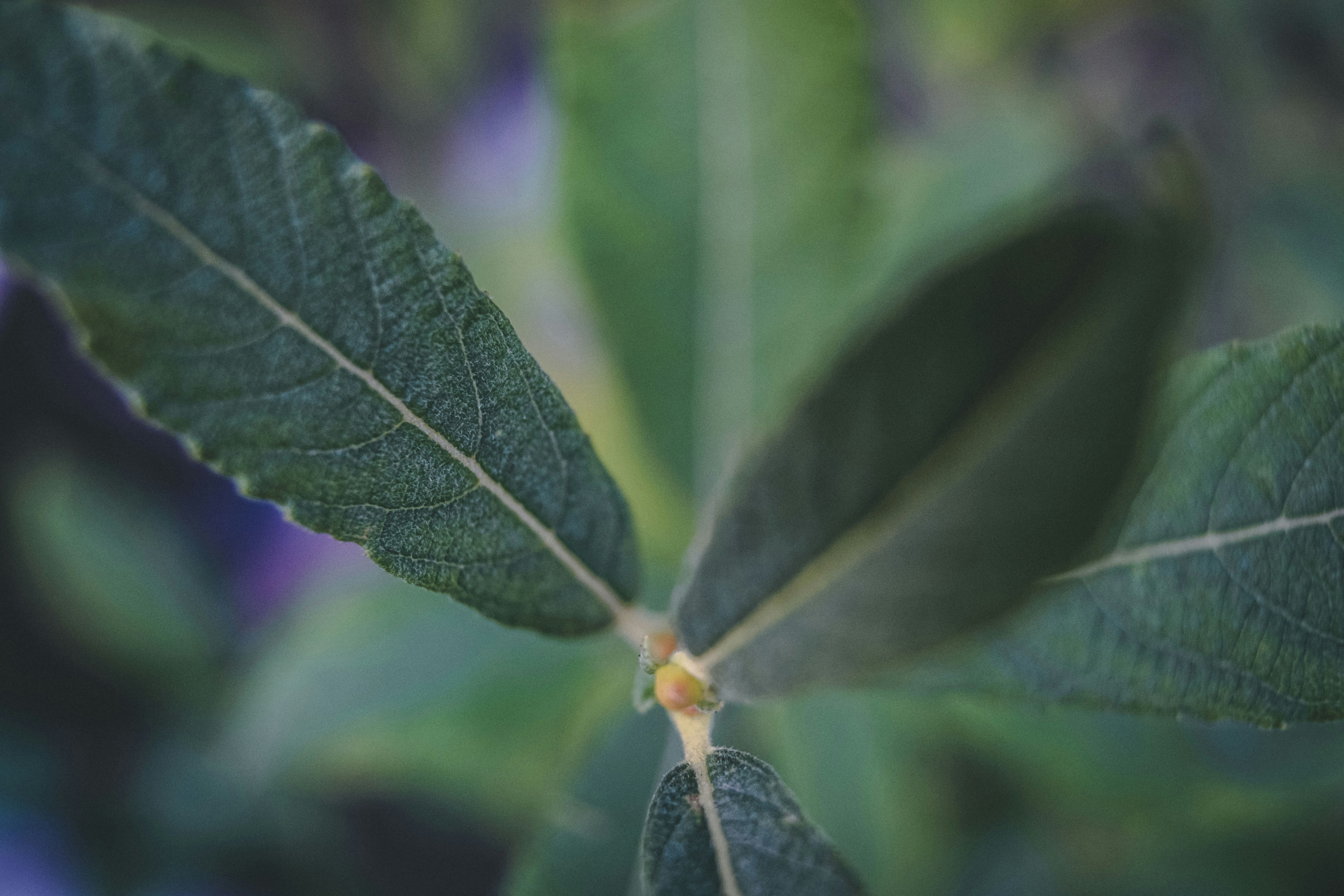 Photo by moritz_photography