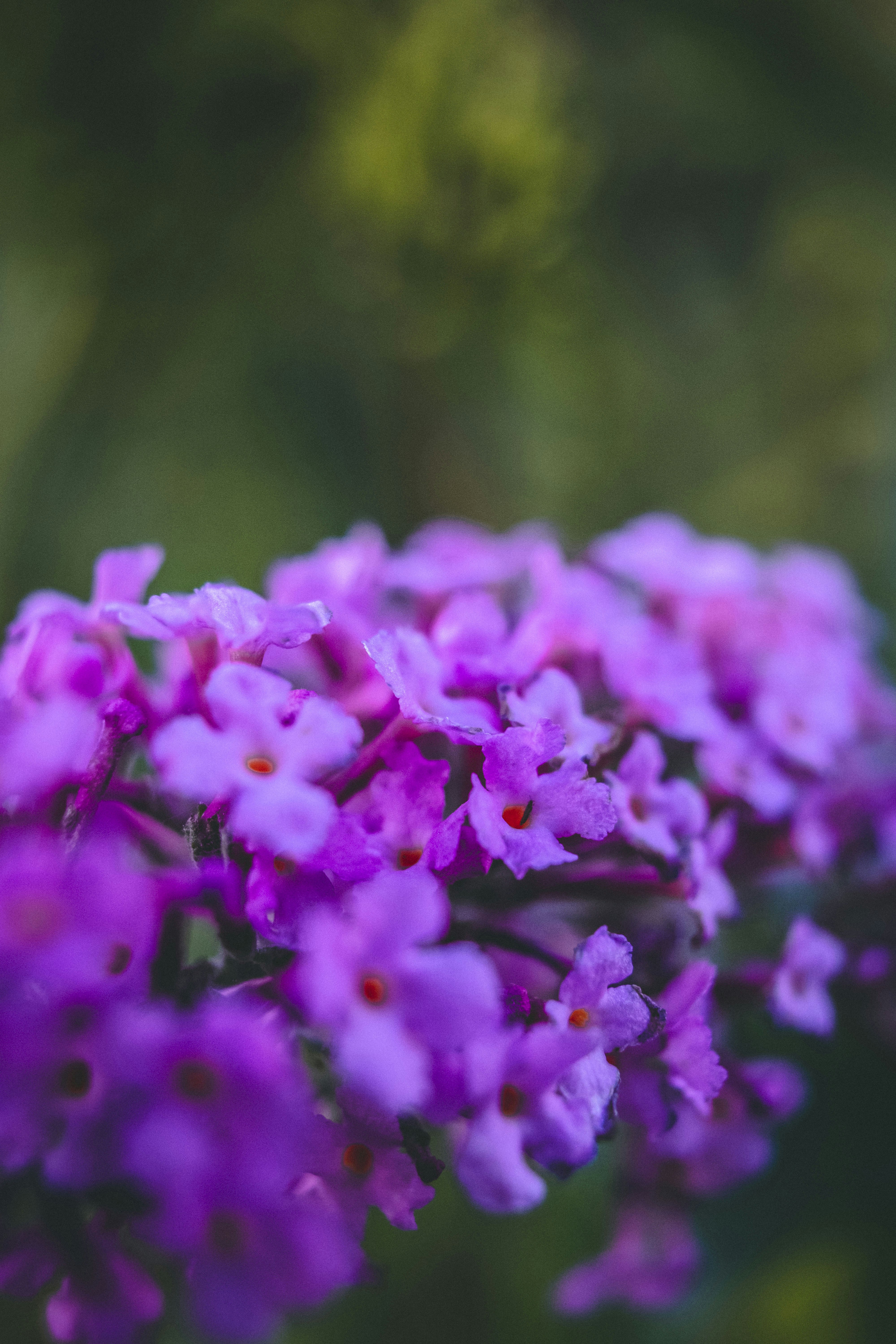 Photo by moritz_photography