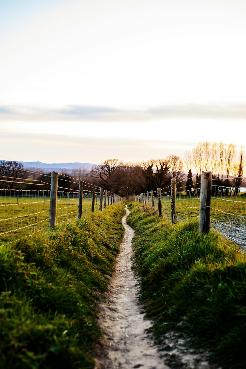 green grass field near brown wooden fence during daytime