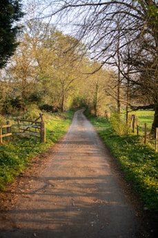 brown pathway between green grass and trees during daytime