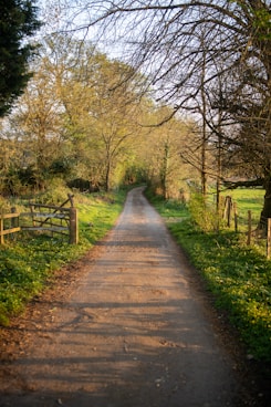 brown pathway between green grass and trees during daytime