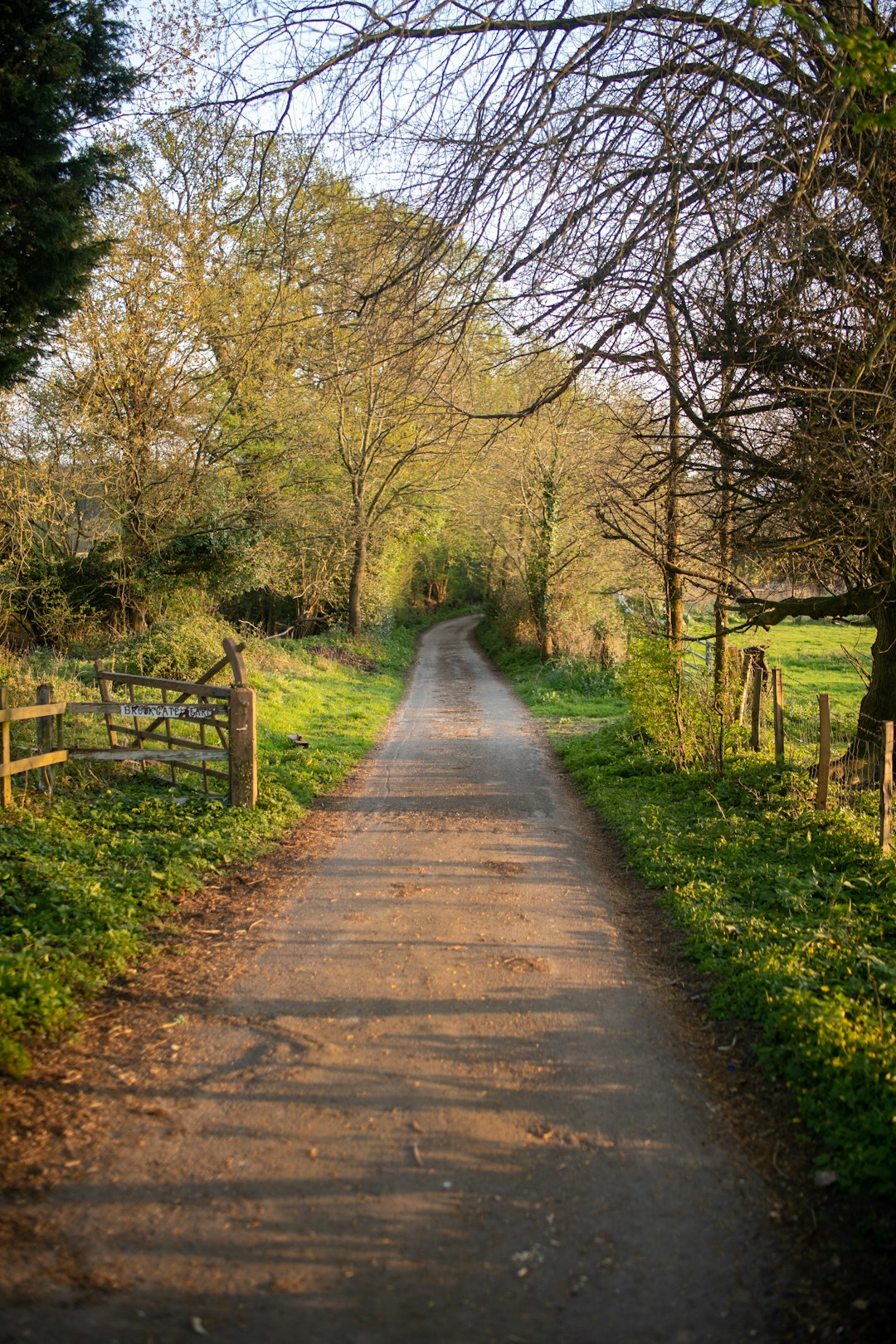 brown pathway between green grass and trees during daytime