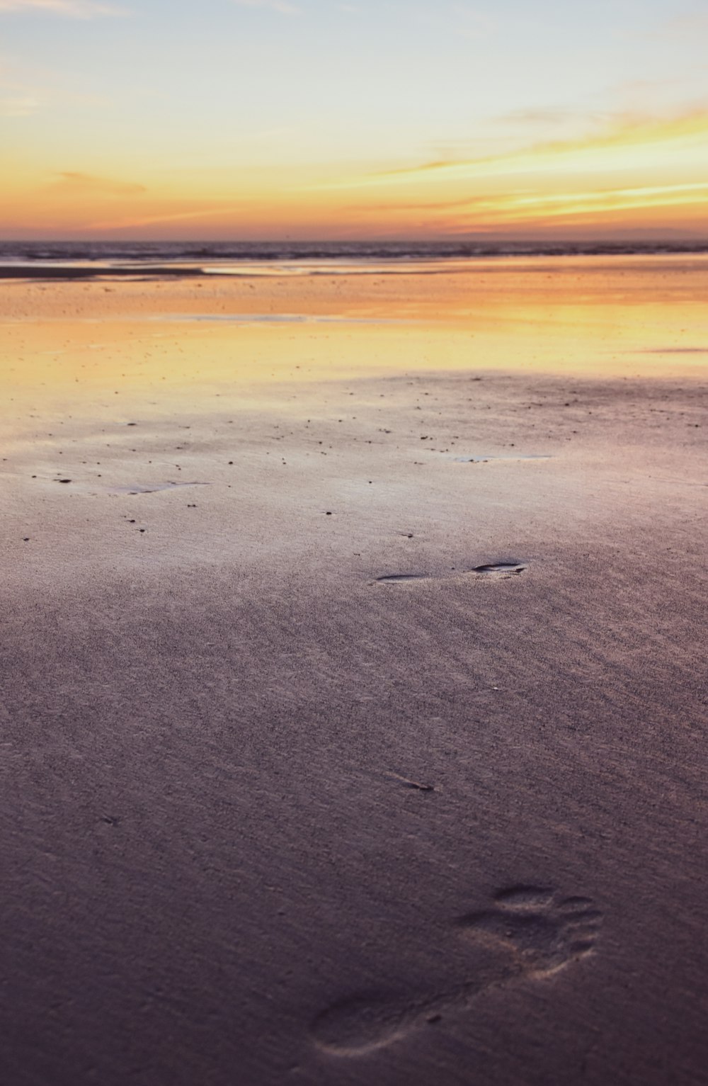 brown sand beach during sunset