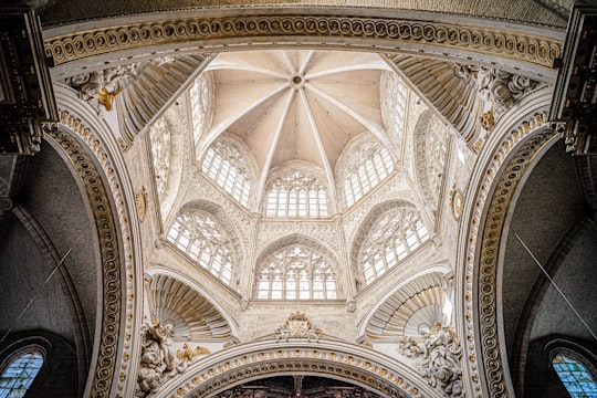 white and brown concrete ceiling in Valencia Cathedral Spain