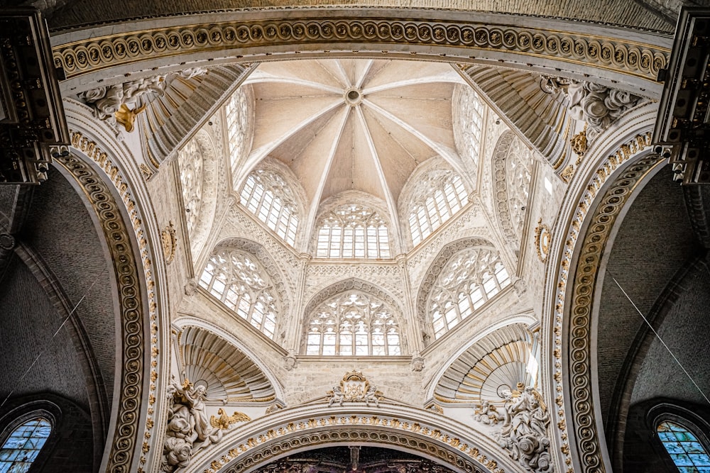 white and brown concrete ceiling