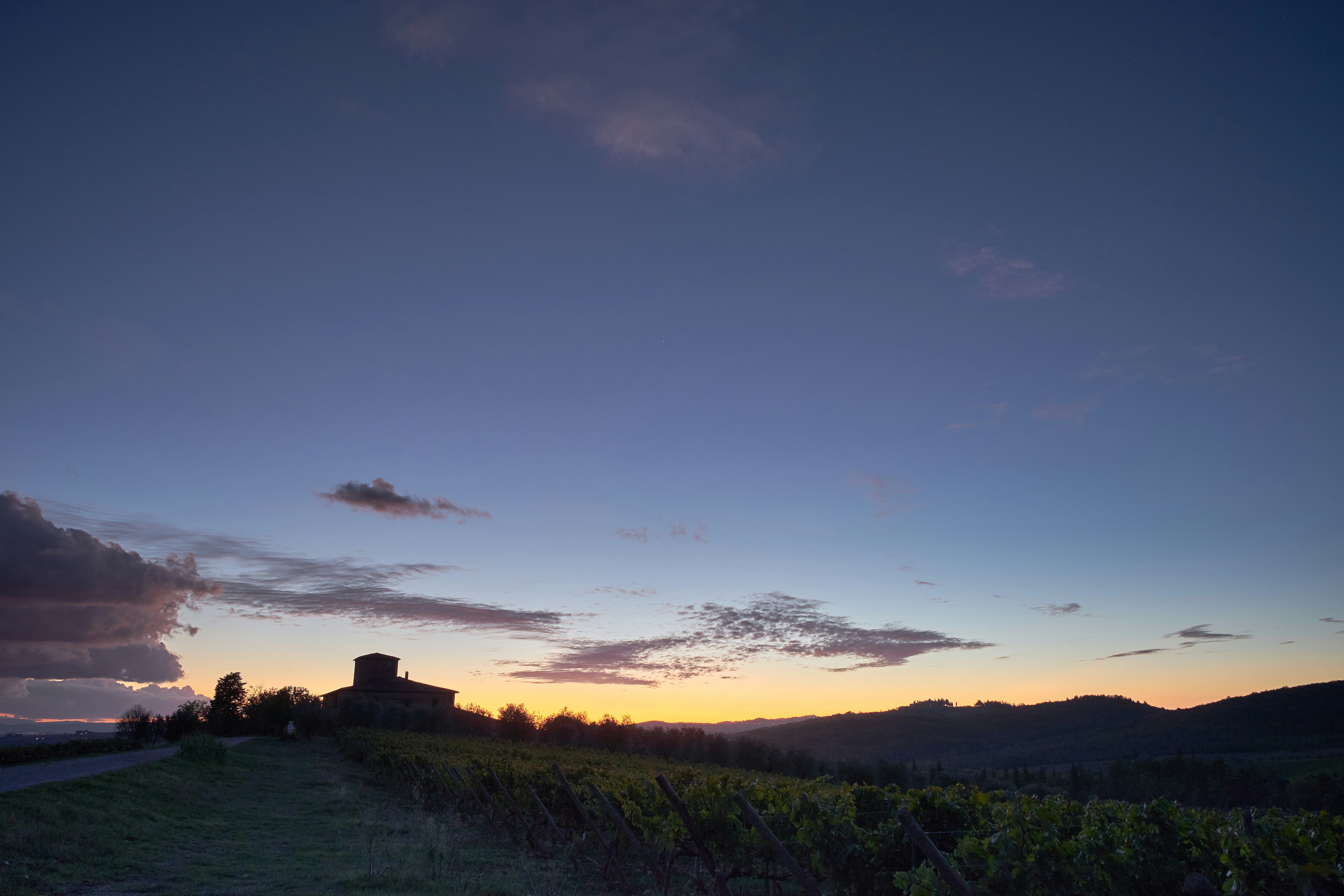 Photo by wolfgang_hasselmann