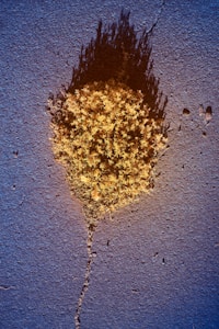 A patch of dried grass or moss is growing through a crack in a blue asphalt surface. The light creates a shadow that gives the appearance of a flame or smoke. The texture of the asphalt is rough and contrasts with the organic texture of the plant.