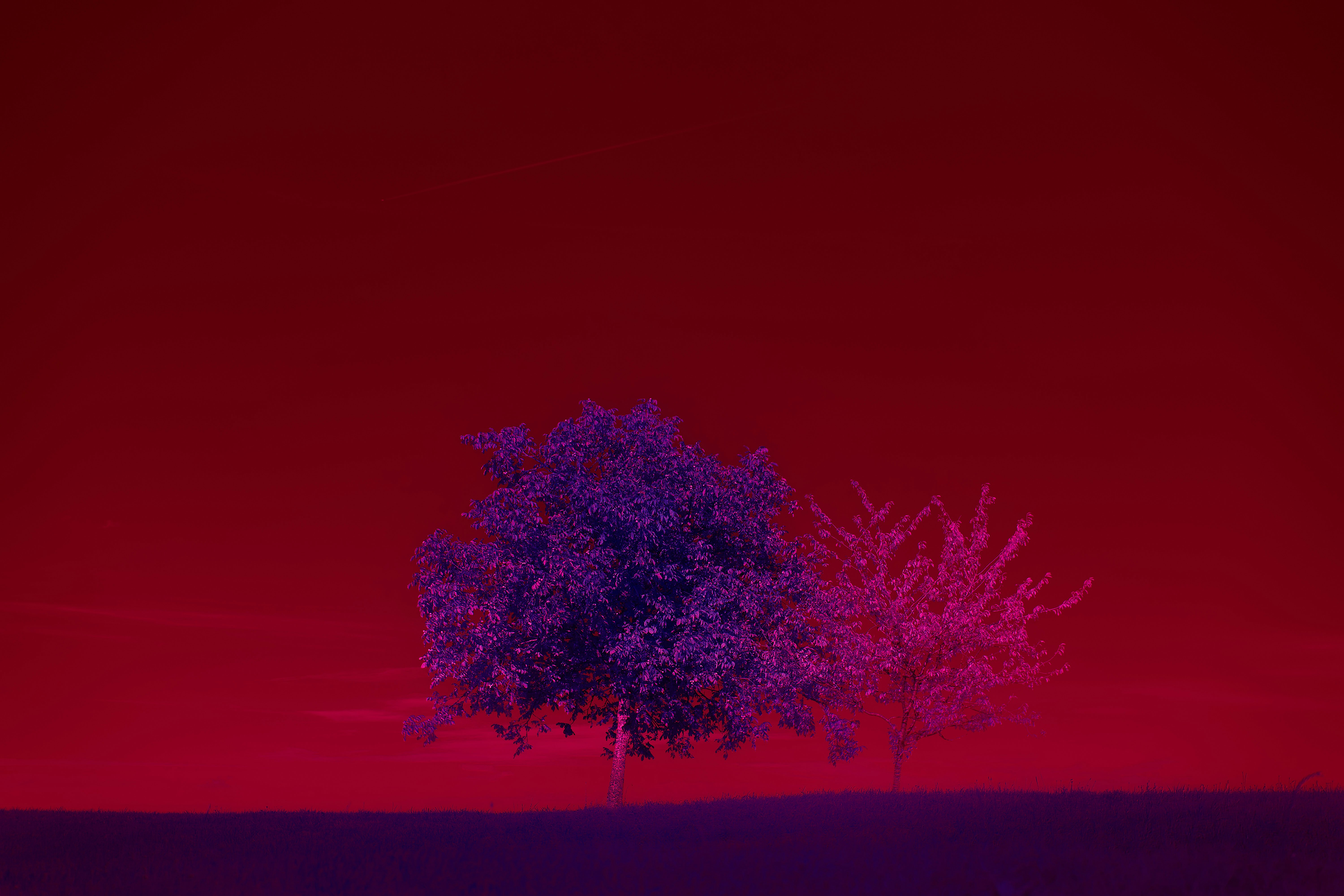 Photo by wolfgang_hasselmann