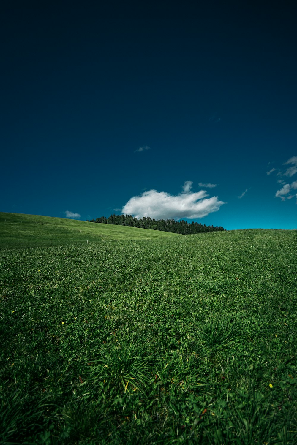 green grass field under blue sky during daytime