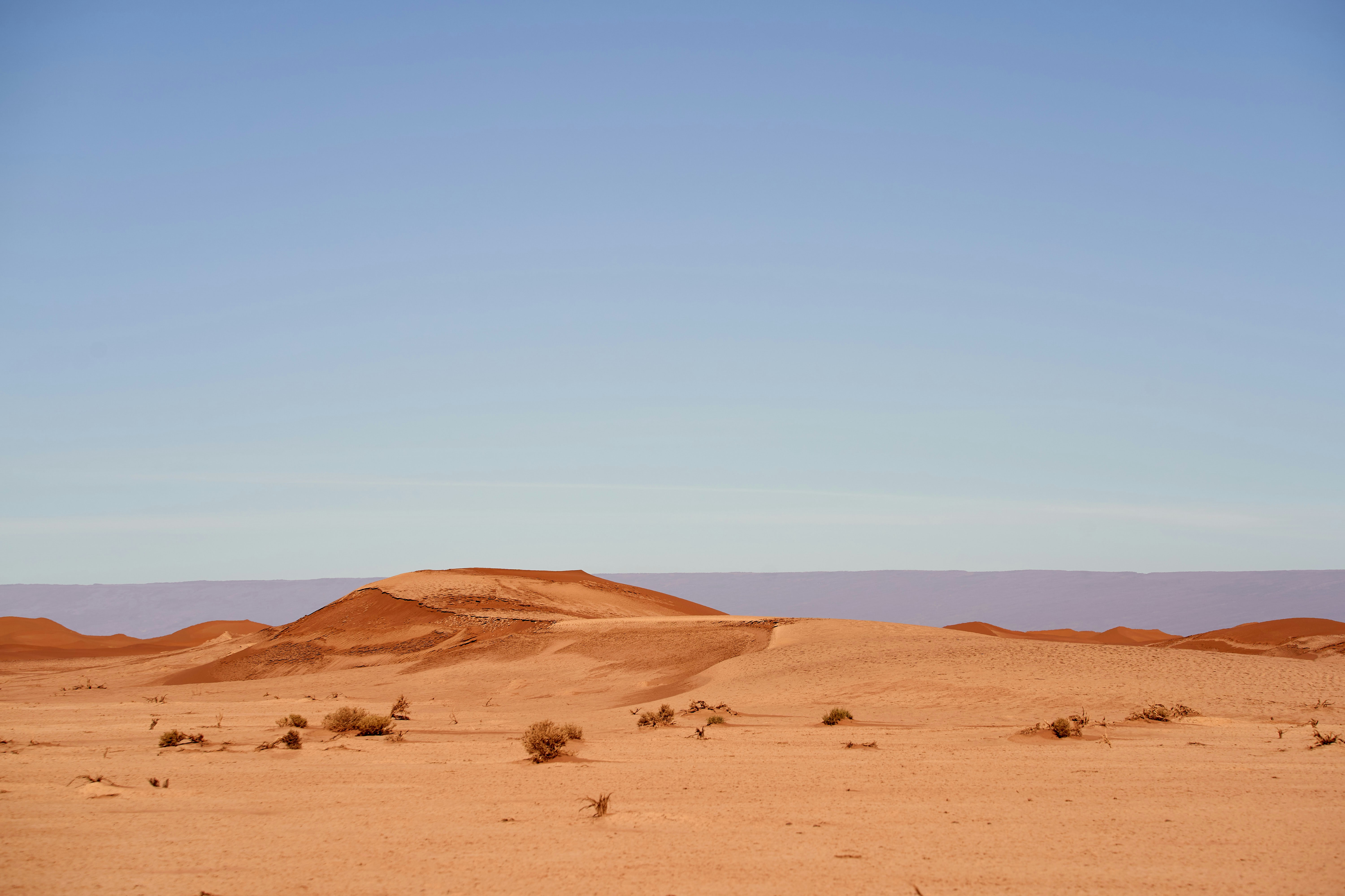 LV 277 : D'une mort cérébrale l'autre - Monroe : le retour - Lorgnette Sahara marocain