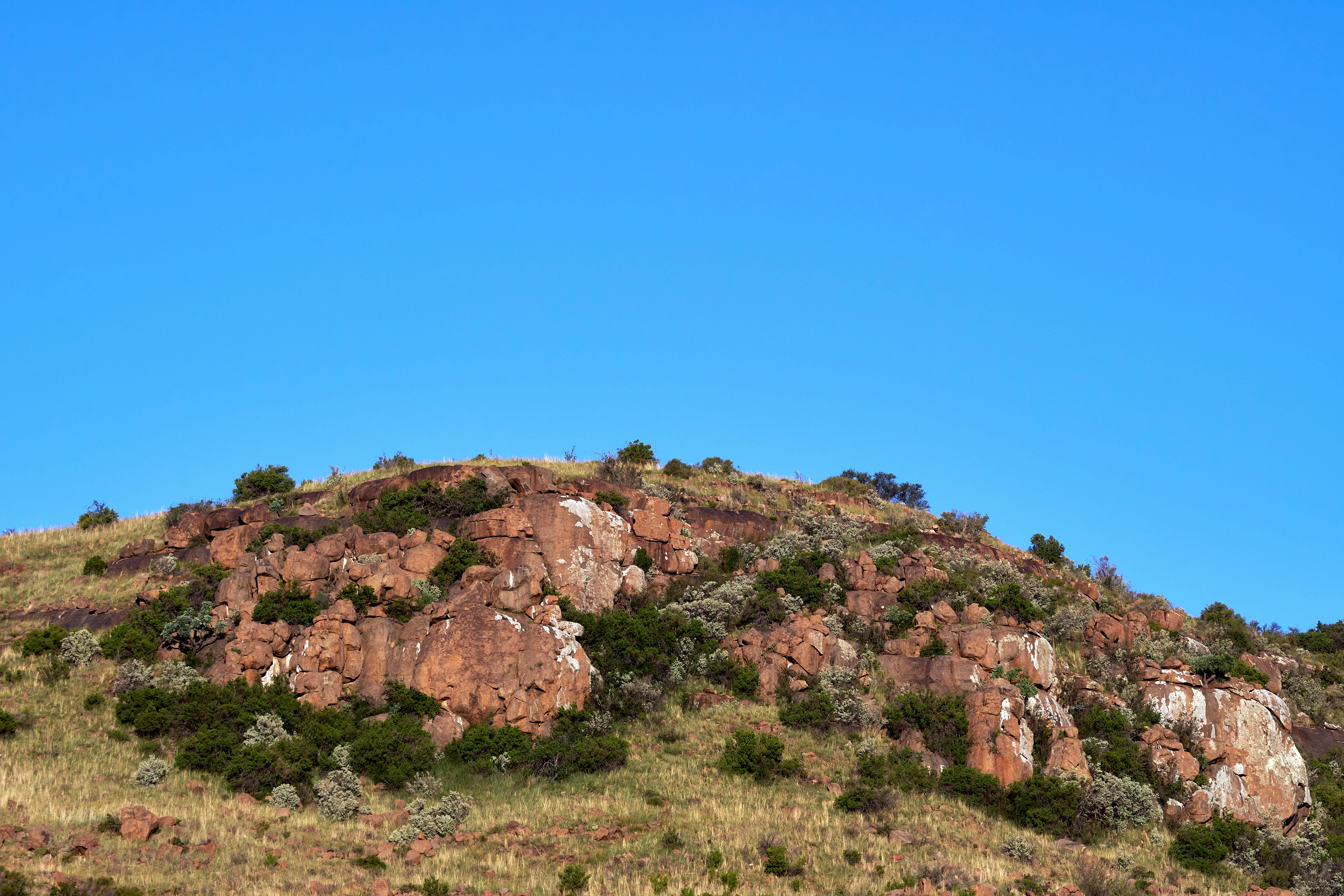 Photo by wolfgang_hasselmann