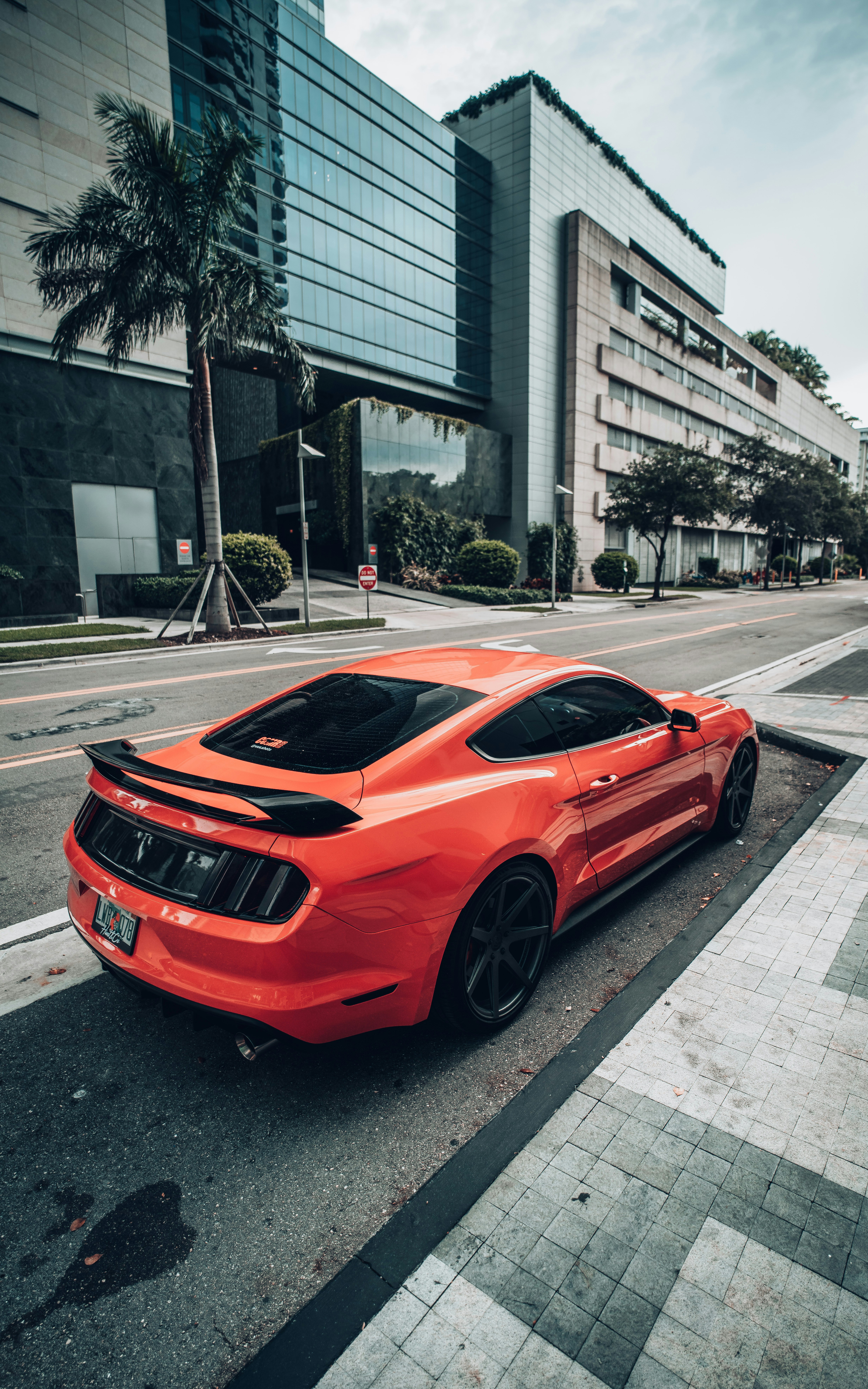 Photo by andredantan19